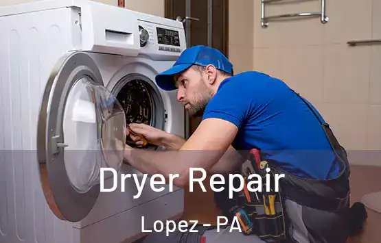  Dryer Repair Lopez - PA