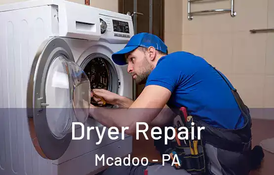  Dryer Repair Mcadoo - PA