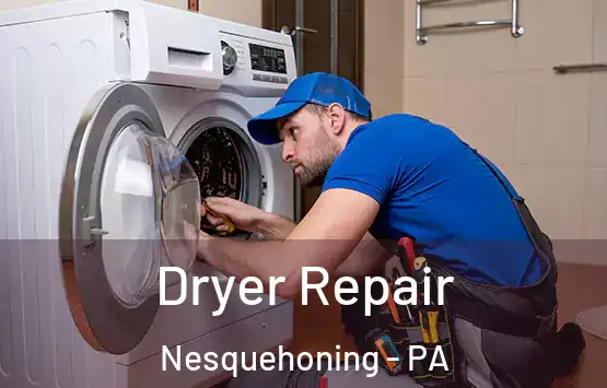  Dryer Repair Nesquehoning - PA