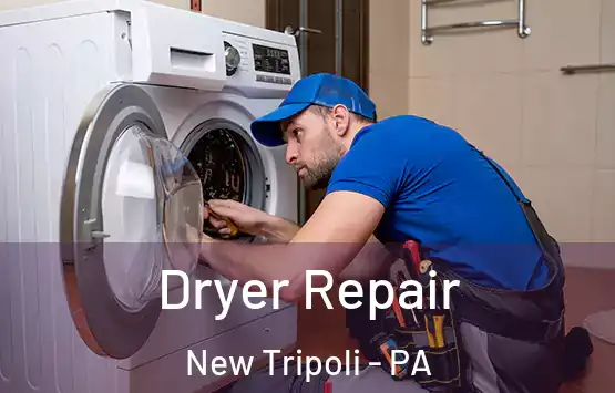  Dryer Repair New Tripoli - PA