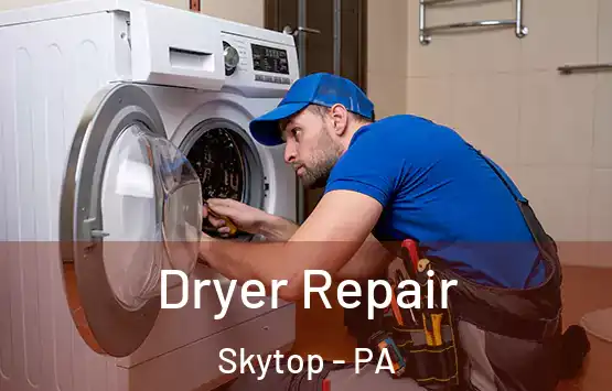  Dryer Repair Skytop - PA