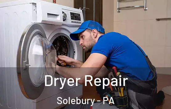  Dryer Repair Solebury - PA