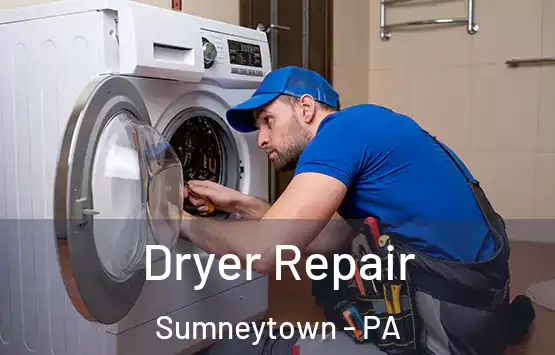  Dryer Repair Sumneytown - PA