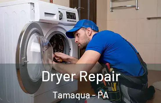  Dryer Repair Tamaqua - PA