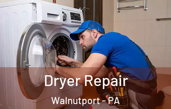  Dryer Repair Walnutport - PA