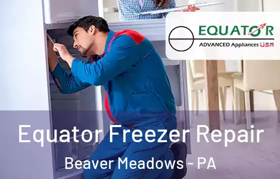  Equator Freezer Repair Beaver Meadows - PA