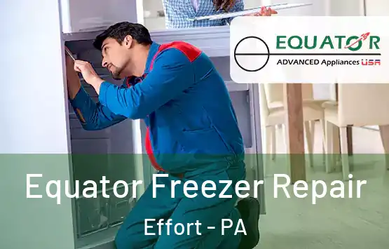  Equator Freezer Repair Effort - PA