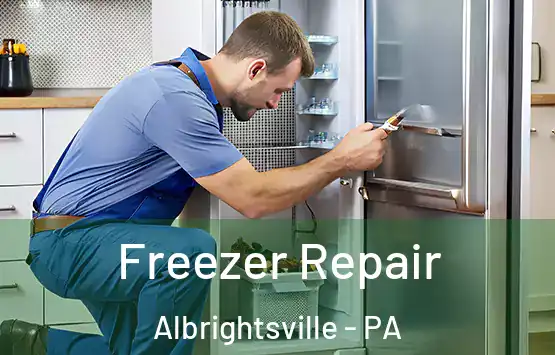 Freezer Repair Albrightsville - PA