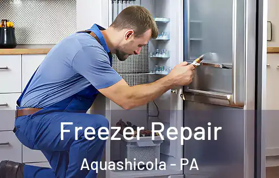  Freezer Repair Aquashicola - PA