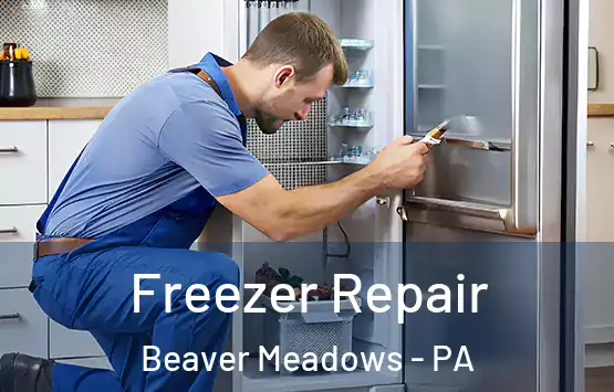  Freezer Repair Beaver Meadows - PA