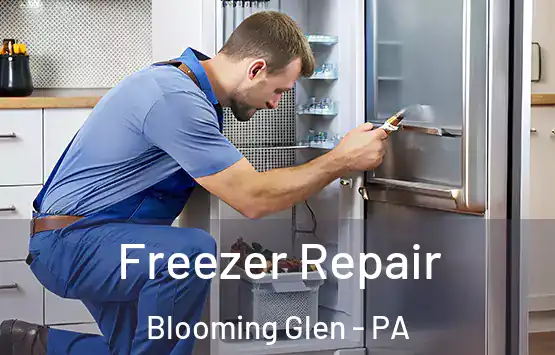  Freezer Repair Blooming Glen - PA