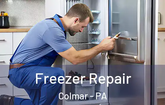  Freezer Repair Colmar - PA