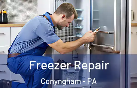  Freezer Repair Conyngham - PA