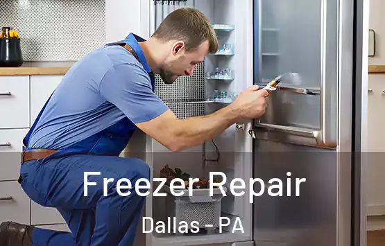 Freezer Repair Dallas - PA