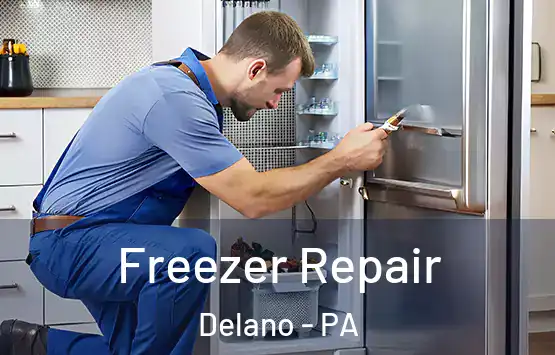  Freezer Repair Delano - PA