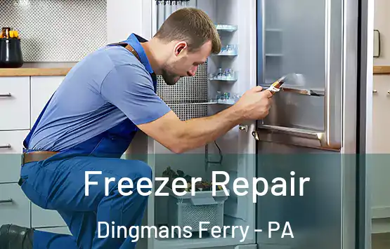  Freezer Repair Dingmans Ferry - PA