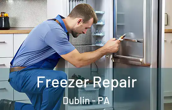  Freezer Repair Dublin - PA