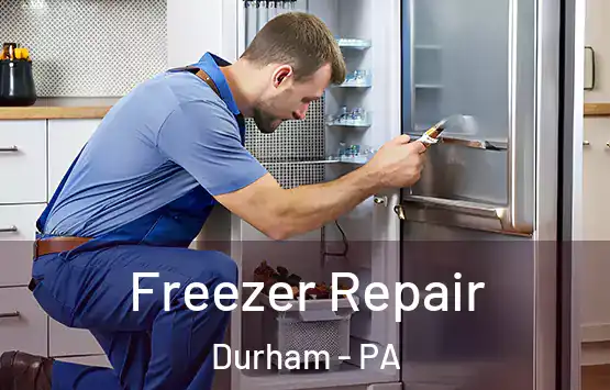  Freezer Repair Durham - PA