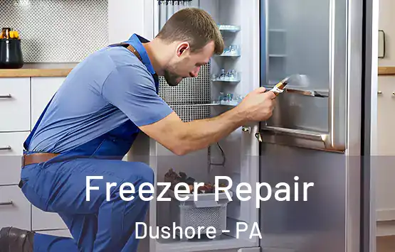  Freezer Repair Dushore - PA