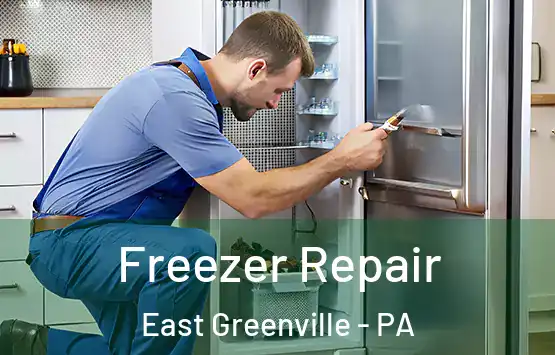  Freezer Repair East Greenville - PA