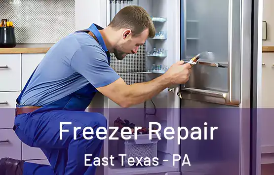  Freezer Repair East Texas - PA