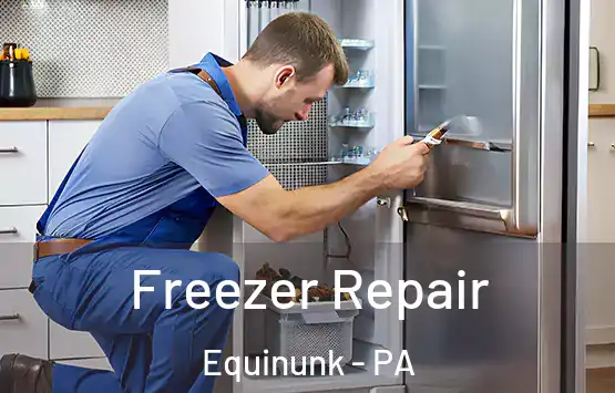  Freezer Repair Equinunk - PA