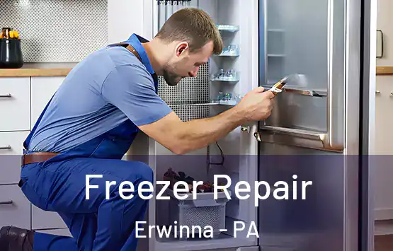  Freezer Repair Erwinna - PA