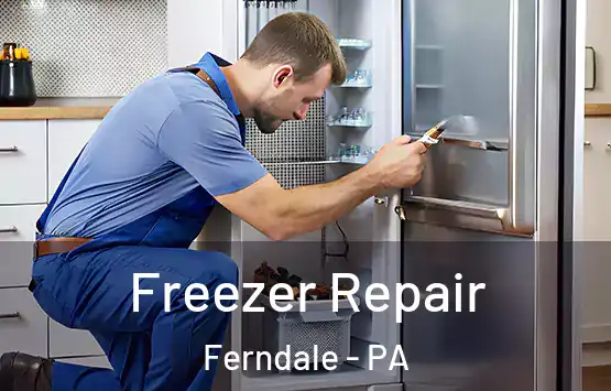  Freezer Repair Ferndale - PA