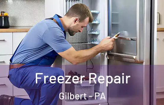  Freezer Repair Gilbert - PA