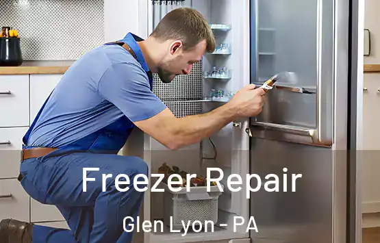  Freezer Repair Glen Lyon - PA
