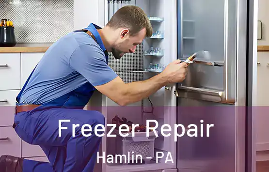  Freezer Repair Hamlin - PA