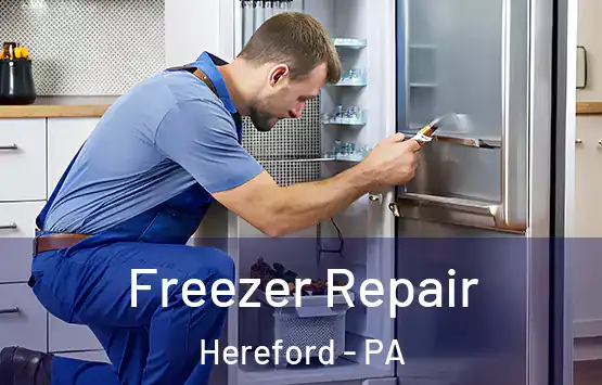  Freezer Repair Hereford - PA