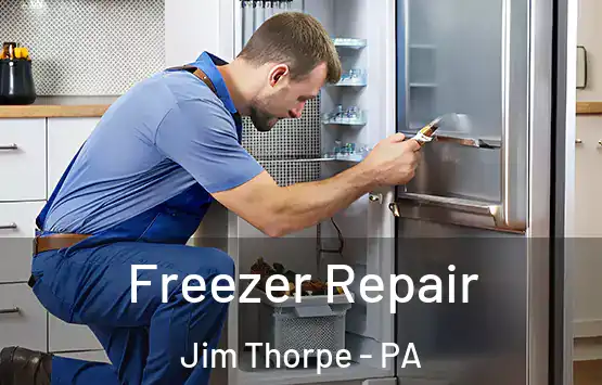  Freezer Repair Jim Thorpe - PA