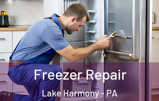  Freezer Repair Lake Harmony - PA