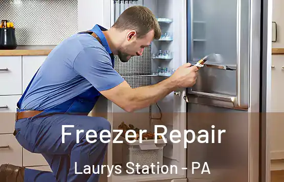  Freezer Repair Laurys Station - PA