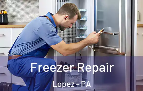  Freezer Repair Lopez - PA
