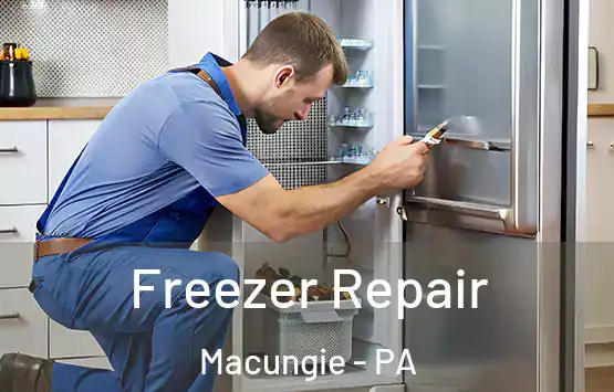  Freezer Repair Macungie - PA