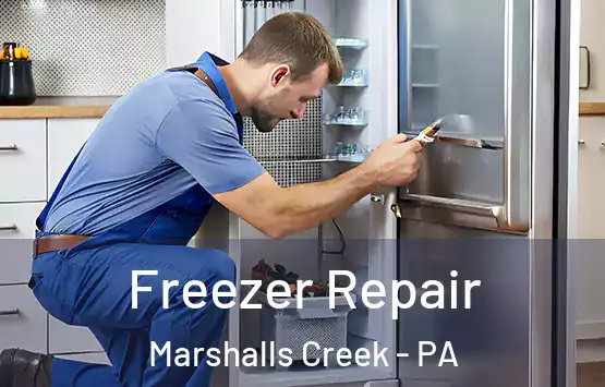  Freezer Repair Marshalls Creek - PA