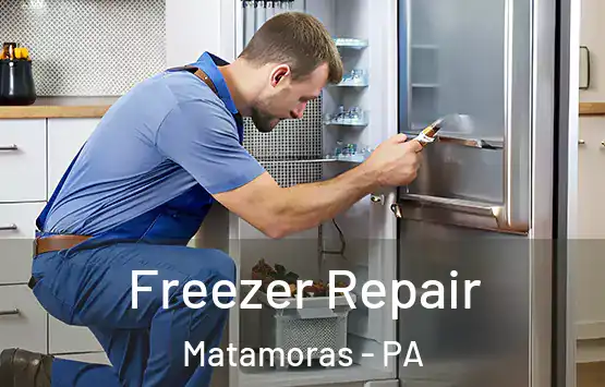  Freezer Repair Matamoras - PA