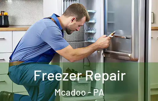  Freezer Repair Mcadoo - PA