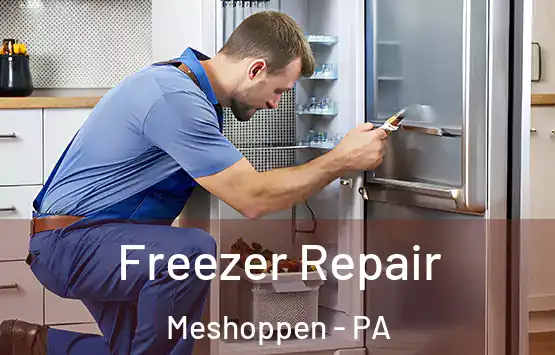  Freezer Repair Meshoppen - PA