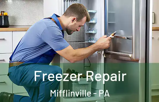  Freezer Repair Mifflinville - PA
