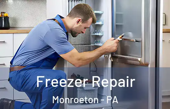  Freezer Repair Monroeton - PA