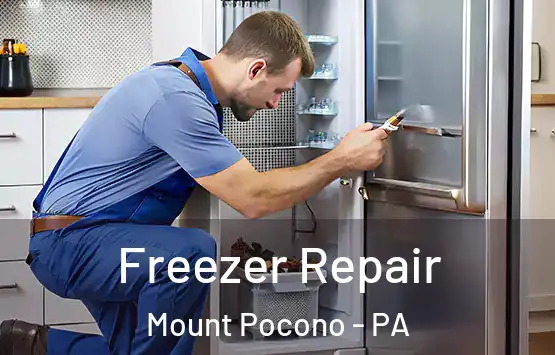  Freezer Repair Mount Pocono - PA