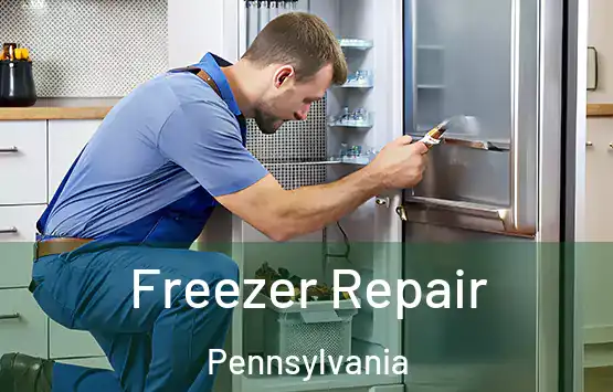  Freezer Repair Pennsylvania