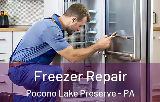  Freezer Repair Pocono Lake Preserve - PA