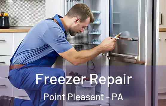  Freezer Repair Point Pleasant - PA