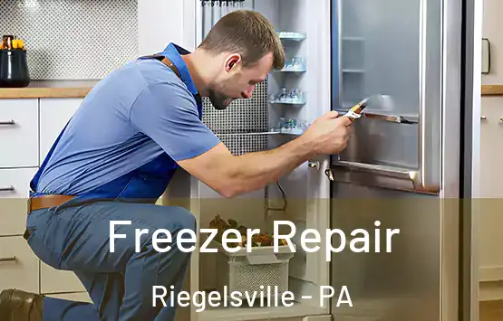  Freezer Repair Riegelsville - PA