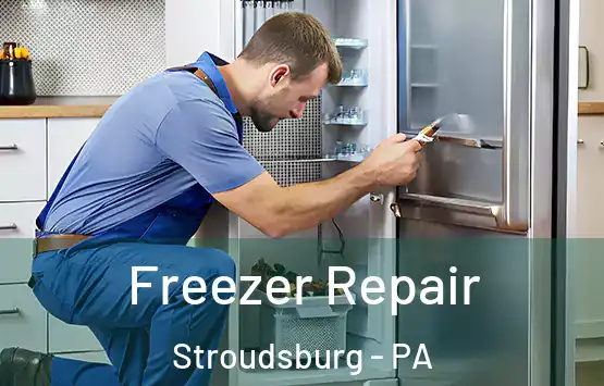 Freezer Repair Stroudsburg - PA