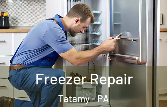  Freezer Repair Tatamy - PA